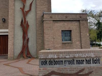 Boom-naar-licht-vlakje.jpg