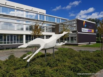 Het-paard-Pegasus-vlakje.jpg
