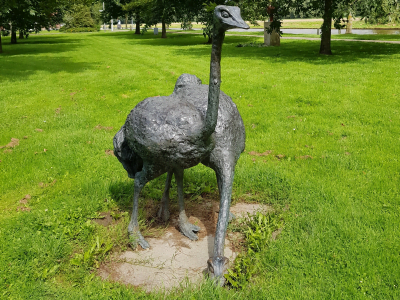 Kop in t zand vlakje